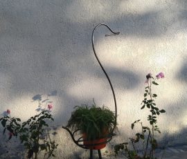 Drôle d'oiseau